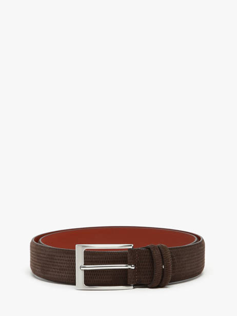 Belt Etrier Brown bride EBRI712C