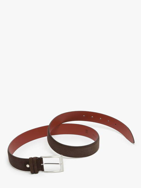 Belt Etrier Brown bride EBRI712C other view 3