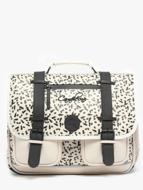 2-compartment Satchel Cameleon Beige vintage north PBVWCA38