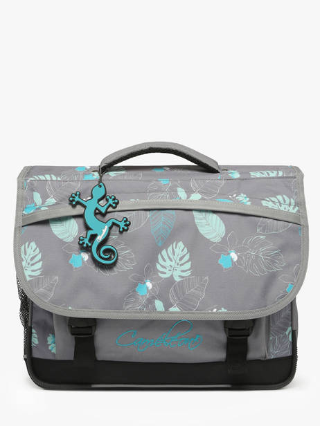 Satchel 2 Compartments Cameleon Gray actual PBBACA38