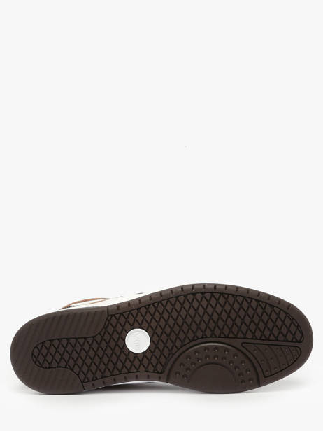Sneakers In Leather Vans Brown men D6S3N11 other view 5